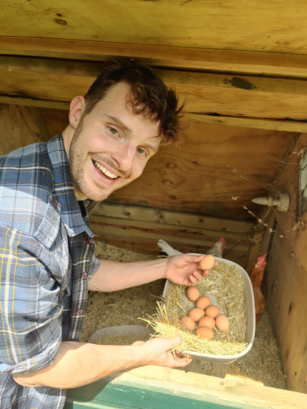 A smiling man in a blue and gray plaid shirt holds a plastic tray of brown eggs in a straw nest inside a wooden barn or coop.
